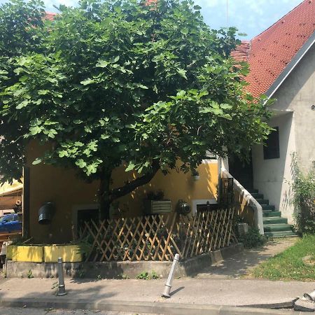 Apartment Tkalca 萨格勒布 外观 照片