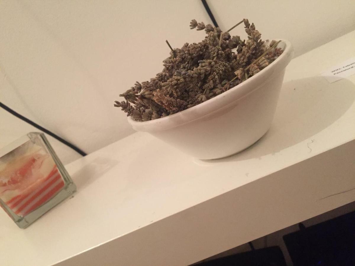 Apartment Tkalca 萨格勒布 外观 照片